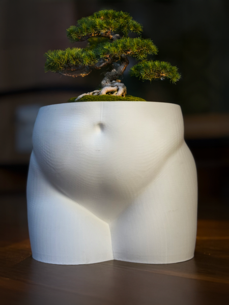 Butt Planter – Modern Sculptural Plant Pot